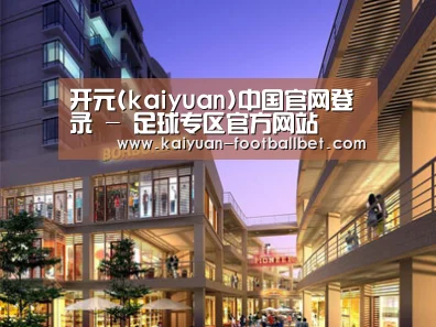 案例展示一(图1)