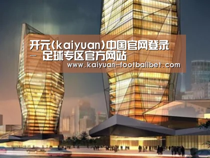 案例展示三