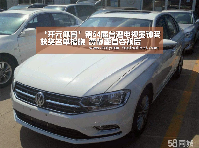 ‘开元体育’第54届台湾电视金钟奖获奖名单揭晓 贾静雯首夺视后(图2) 开元网站